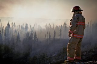 fireman in uniform looking at forest after fire